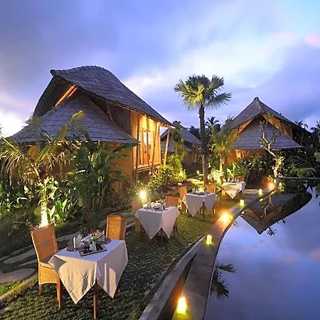 Padi Bali Eco Villas