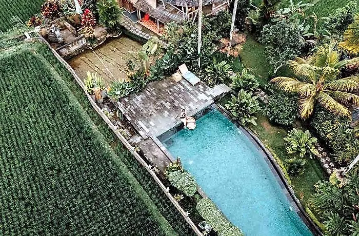 Padi Eco