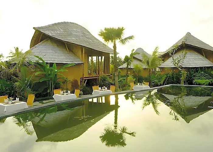 Padi Eco