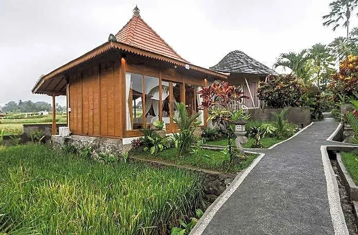 Padi Eco